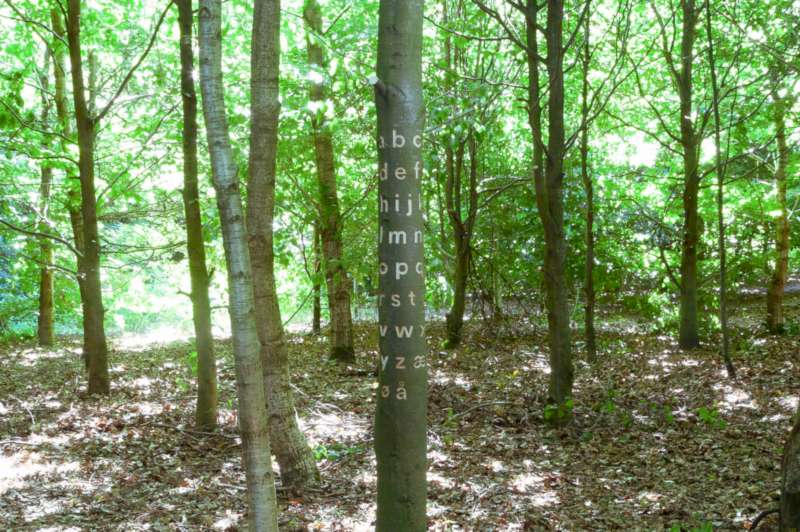 Occlusion Grotesque é uma categoria de tipografia experimental que surgiu na casca de uma árvore. Esse projeto de Bjørn Karmann foi evoluindo a medida que a árvore cresceu, deformando assim as letras e gerando variações no design de cada letra.