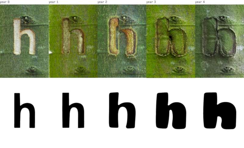 Occlusion Grotesque é uma categoria de tipografia experimental que surgiu na casca de uma árvore. Esse projeto de Bjørn Karmann foi evoluindo a medida que a árvore cresceu, deformando assim as letras e gerando variações no design de cada letra.