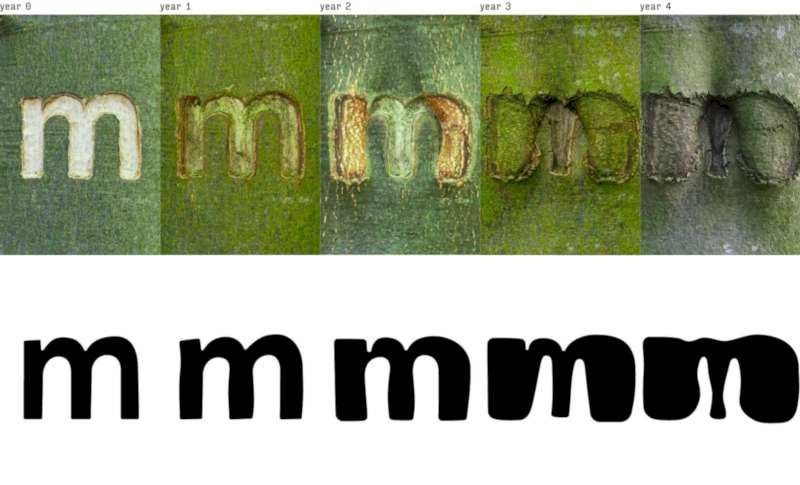 Occlusion Grotesque é uma categoria de tipografia experimental que surgiu na casca de uma árvore. Esse projeto de Bjørn Karmann foi evoluindo a medida que a árvore cresceu, deformando assim as letras e gerando variações no design de cada letra.
