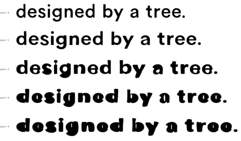Occlusion Grotesque é uma categoria de tipografia experimental que surgiu na casca de uma árvore. Esse projeto de Bjørn Karmann foi evoluindo a medida que a árvore cresceu, deformando assim as letras e gerando variações no design de cada letra.