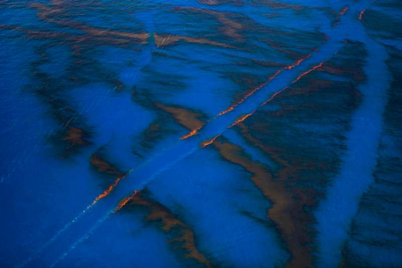 Entre os projetos que explorei no portfólio fotográfico do Daniel Beltrá, o que mais me chamou a atenção vem direto de maio de 2010. Foi nessa época que o fotografo foi para o Golfo do México documentar o maior vazamento de petróleo no oceano da história. Esse vazamento de petróleo foi responsabilidade da BP e começou em abril de 2010 e só parou meses depois, em setembro de 2010.
