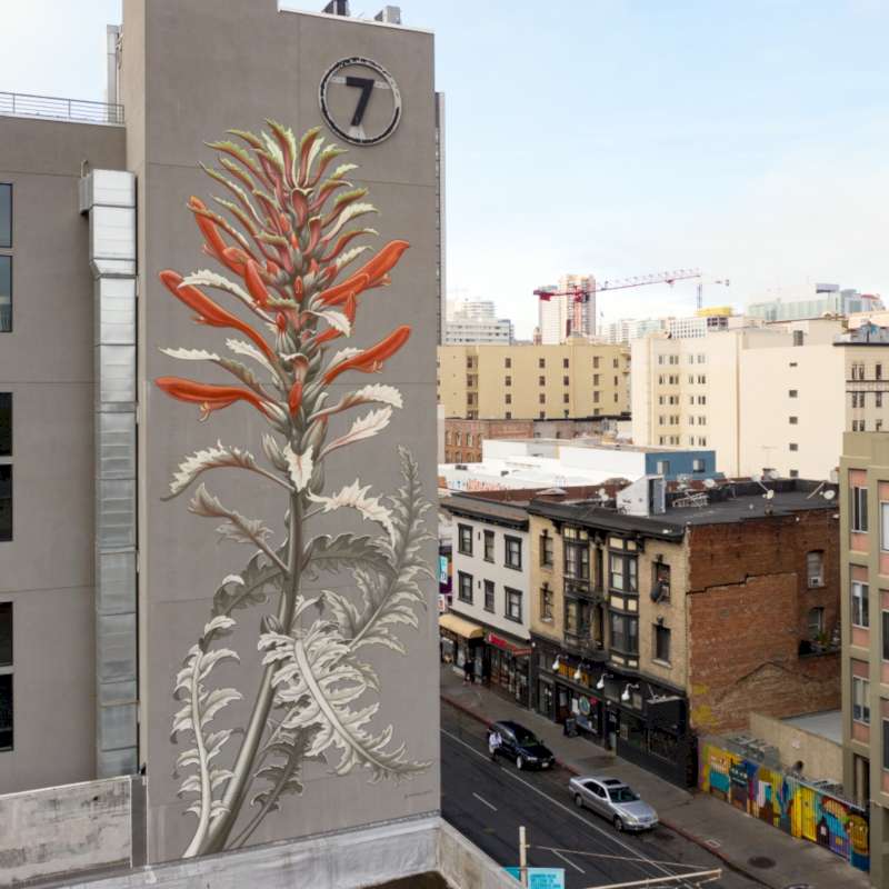 Mona Caron é uma artista suíça que vive e trabalha em São Francisco, usando de fotografias, ilustrações e murais para se expressar. Conheci o seu trabalho através de uma série de murais que receberam o nome de Weeds onde ela retrata ervas daninhas em formatos gigantes. 