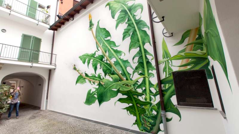 Mona Caron é uma artista suíça que vive e trabalha em São Francisco, usando de fotografias, ilustrações e murais para se expressar. Conheci o seu trabalho através de uma série de murais que receberam o nome de Weeds onde ela retrata ervas daninhas em formatos gigantes. 