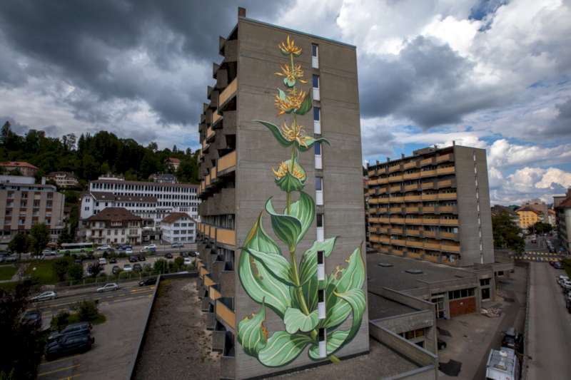 Mona Caron é uma artista suíça que vive e trabalha em São Francisco, usando de fotografias, ilustrações e murais para se expressar. Conheci o seu trabalho através de uma série de murais que receberam o nome de Weeds onde ela retrata ervas daninhas em formatos gigantes. 