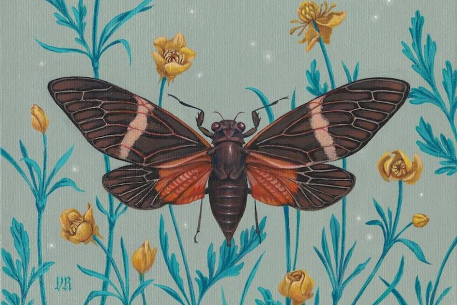 A ilustradora, designer e artista plástica Vasilisa Romanenko, radicada em Connecticut, translumbra o público com sua mistura única de inspiração botânica, história natural e padrões intrincados que lembram tecelagem.