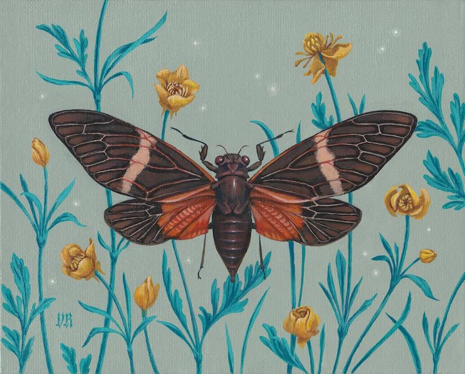 A ilustradora, designer e artista plástica Vasilisa Romanenko, radicada em Connecticut, translumbra o público com sua mistura única de inspiração botânica, história natural e padrões intrincados que lembram tecelagem.